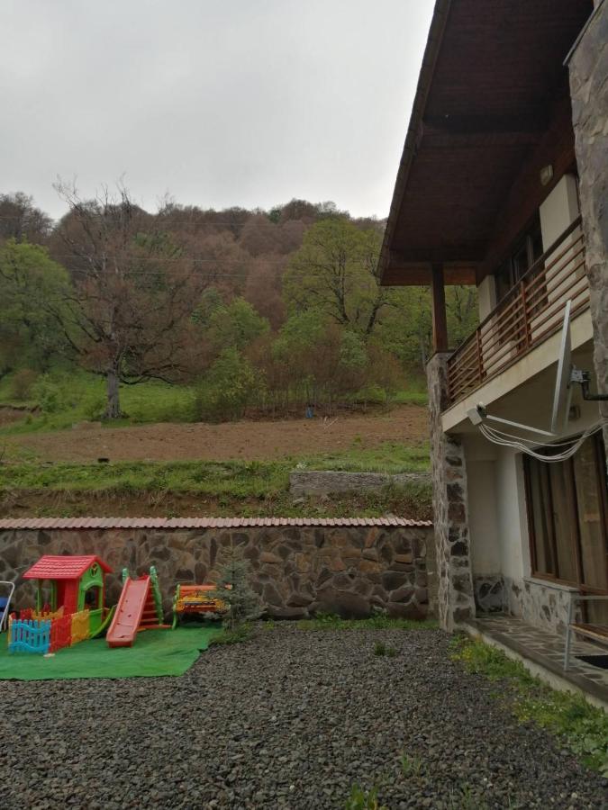 Konstantine'S Chalet Bakuriani Exterior foto