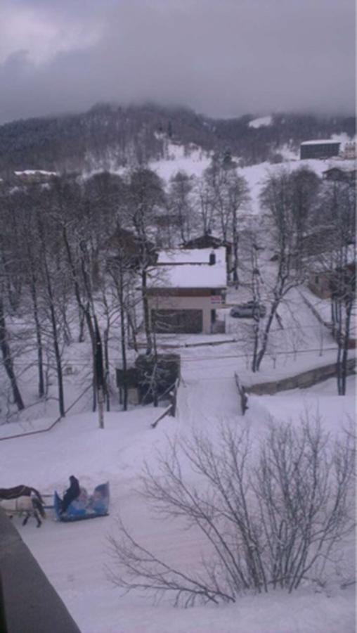 Konstantine'S Chalet Bakuriani Exterior foto